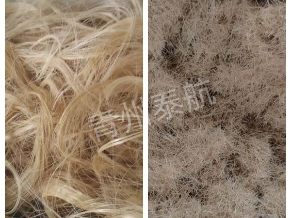 長(zhǎng)絲效果對(duì)比